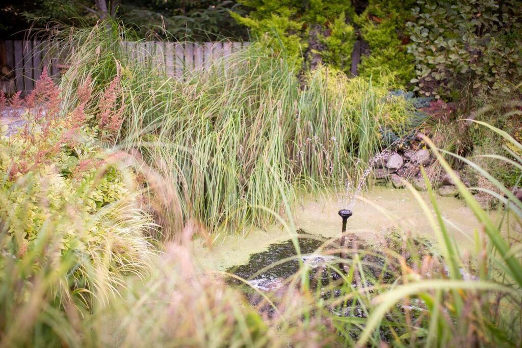 Calm Scottish Country Escape With Hot Tub Sleeps 6 Villa Inverness Exterior photo